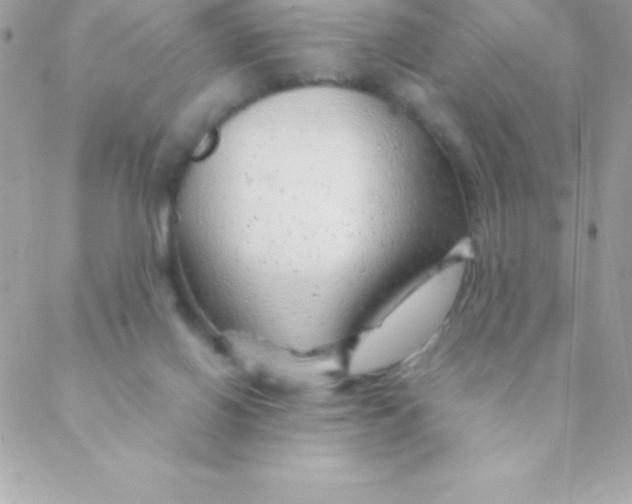 X0000088620070200706151902