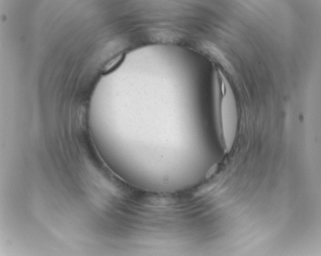 X0000088620071200706151902