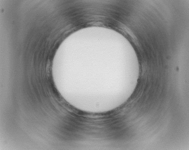 X0000088620073200706151903