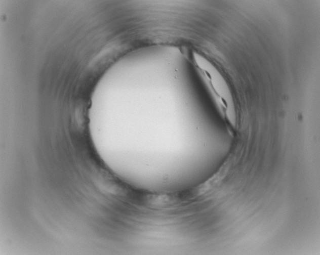 X0000088620074200706151903