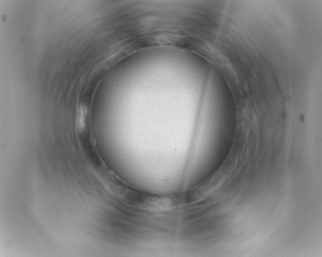 X0000088620075200706151903