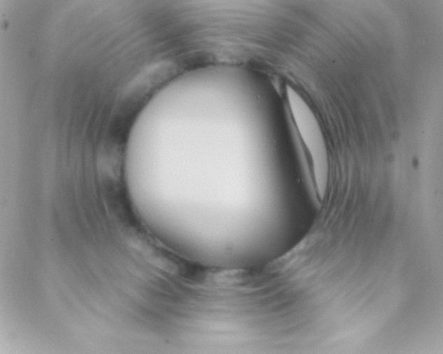 X0000088620078200706151903