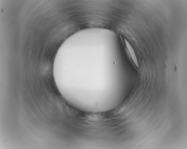 X0000088620079200706151903