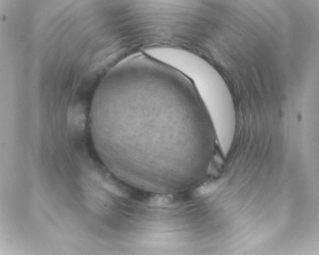 X0000088620080200706151903