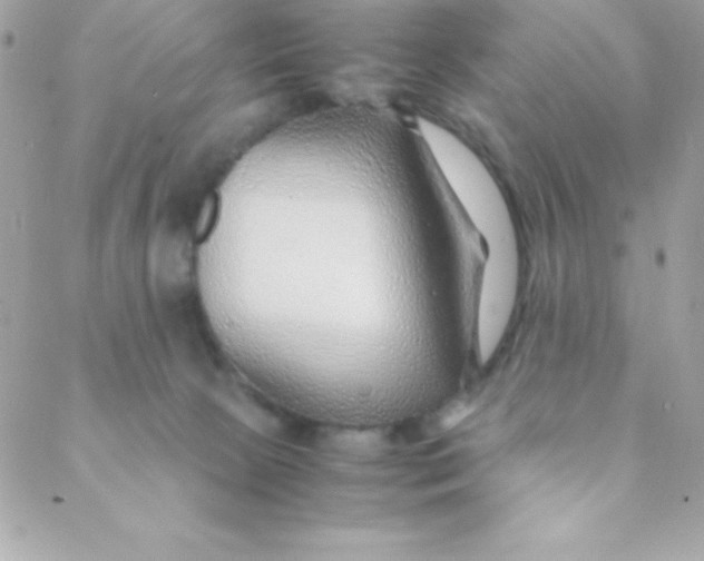 X0000088620081200706151903