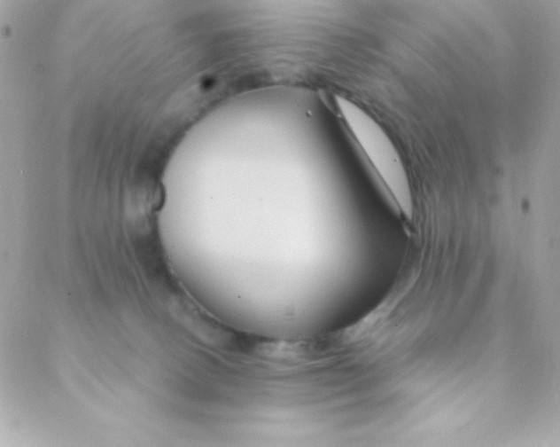 X0000088620082200706151903