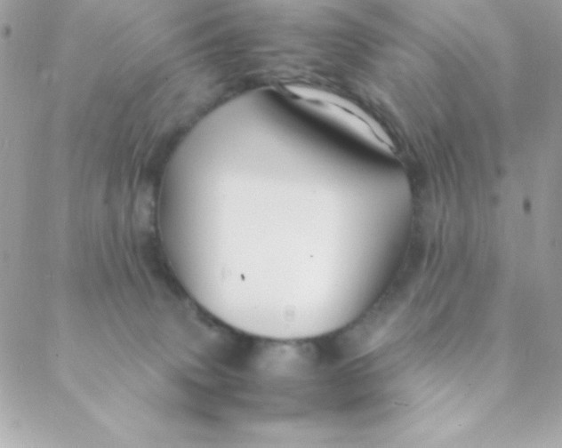 X0000088620083200706151903