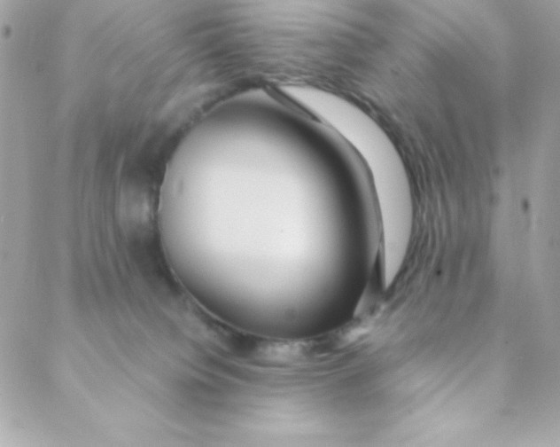 X0000088620084200706151903