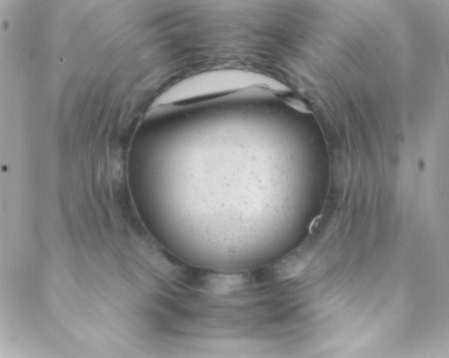 X0000088620085200706151903