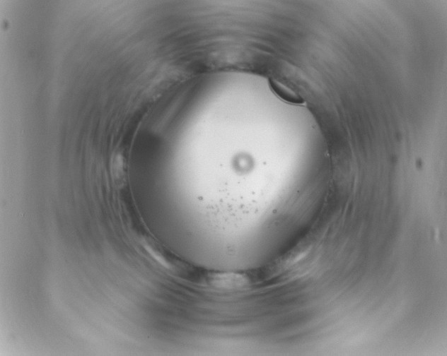 X0000088620087200706151903