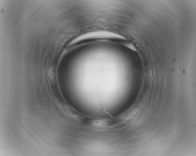 X0000088620088200706151903