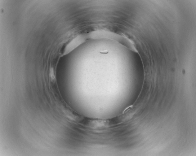 X0000088620089200706151903