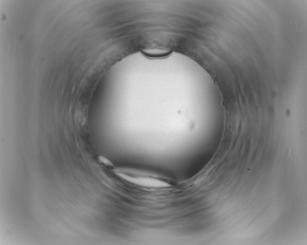 X0000088620091200706151903