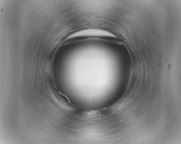 X0000088620092200706151903