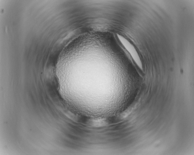 X0000088620093200706151903