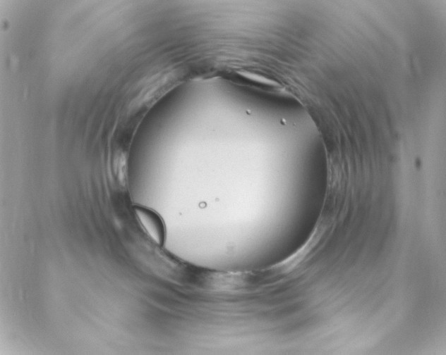 X0000088620094200706151903