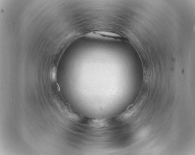 X0000088620095200706151903