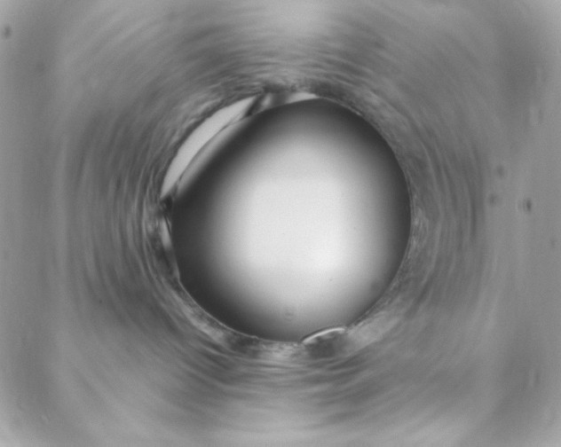 X0000088620096200706151903