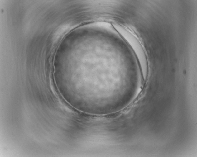 X0000088620097200706151902