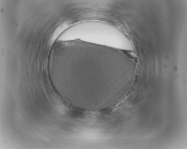 X0000088620099200706151902