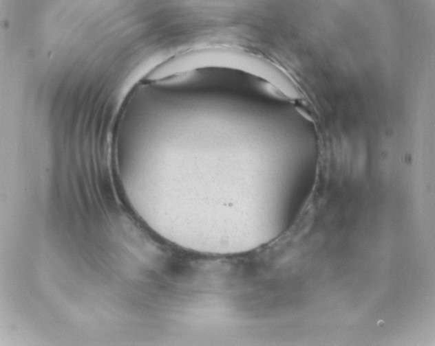 X0000088620100200706151902