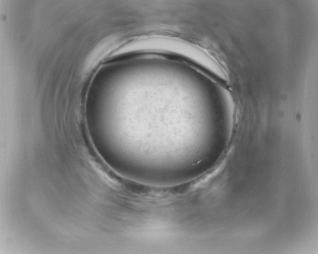 X0000088620101200706151902