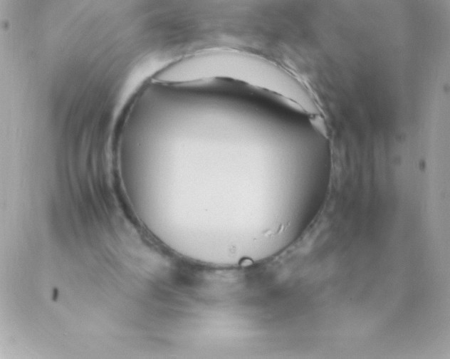 X0000088620102200706151902