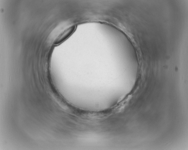 X0000088620103200706151902