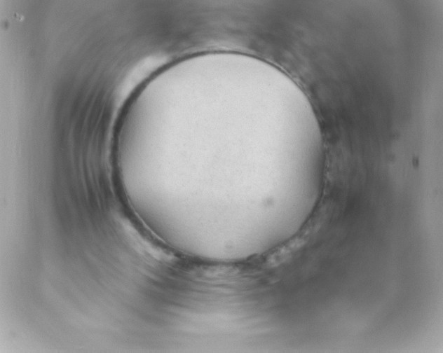 X0000088620104200706151902