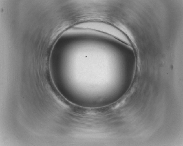 X0000088620105200706151902