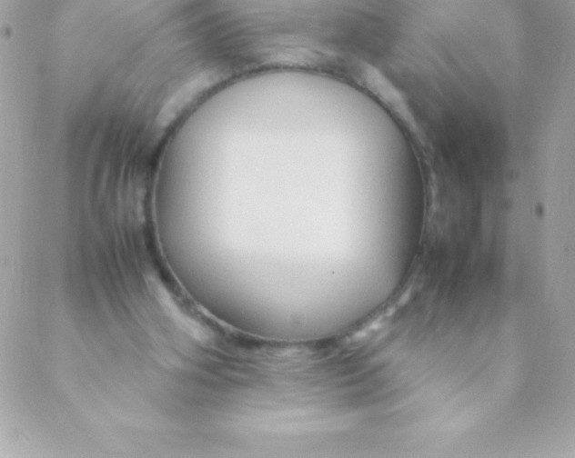 X0000088620106200706151902