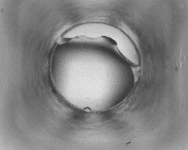 X0000088620107200706151902