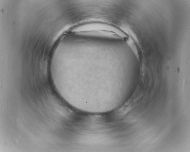 X0000088620108200706151902