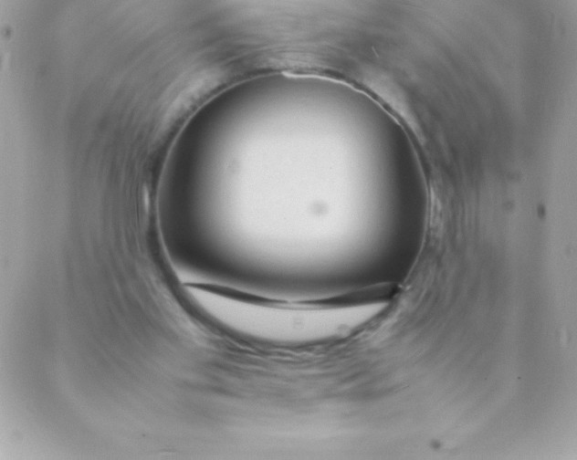 X0000088620109200706151902