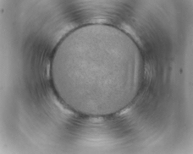 X0000088620110200706151902