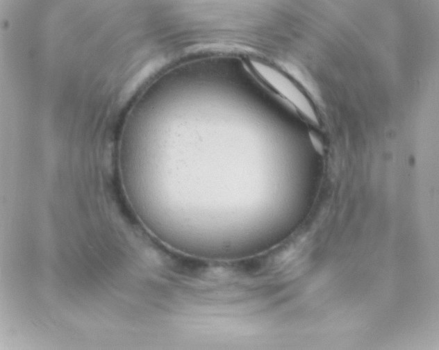 X0000088620111200706151902