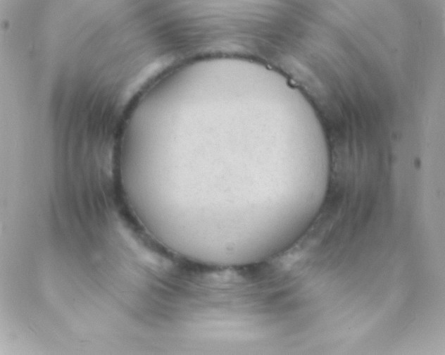 X0000088620112200706151902