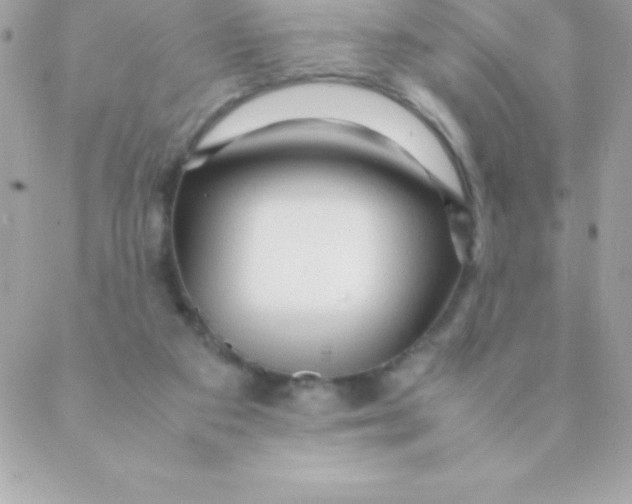 X0000088620113200706151902