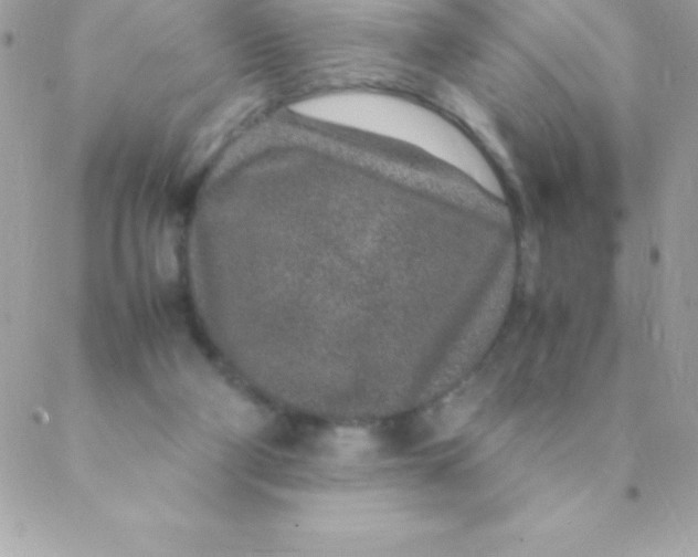 X0000088620114200706151902