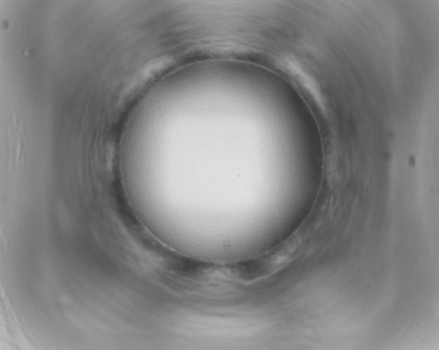 X0000088620115200706151902