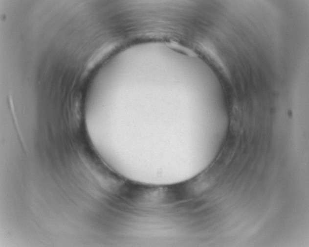 X0000088620116200706151902