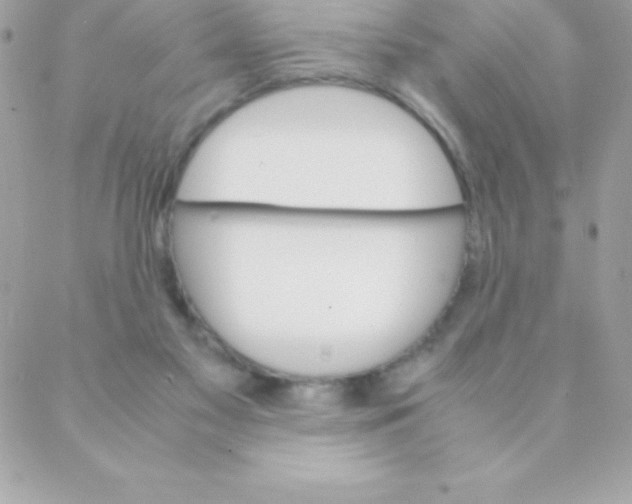 X0000088620117200706151902