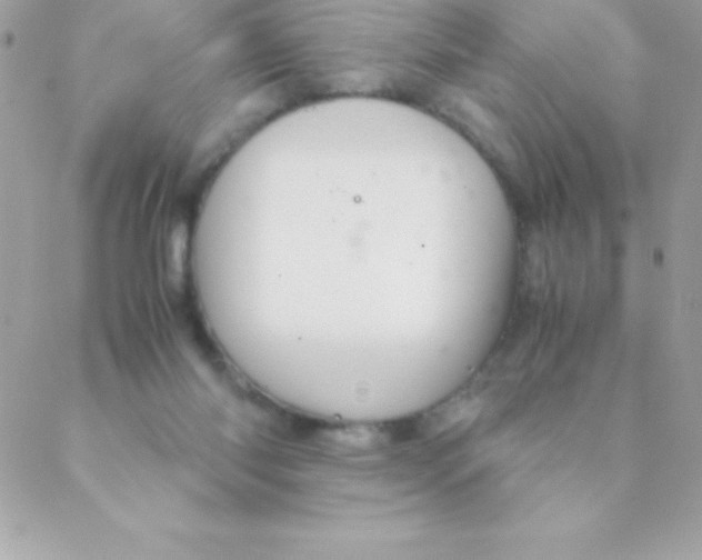 X0000088620118200706151902