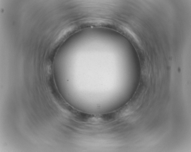 X0000088620119200706151902