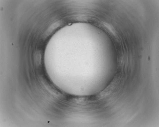 X0000088620120200706151902