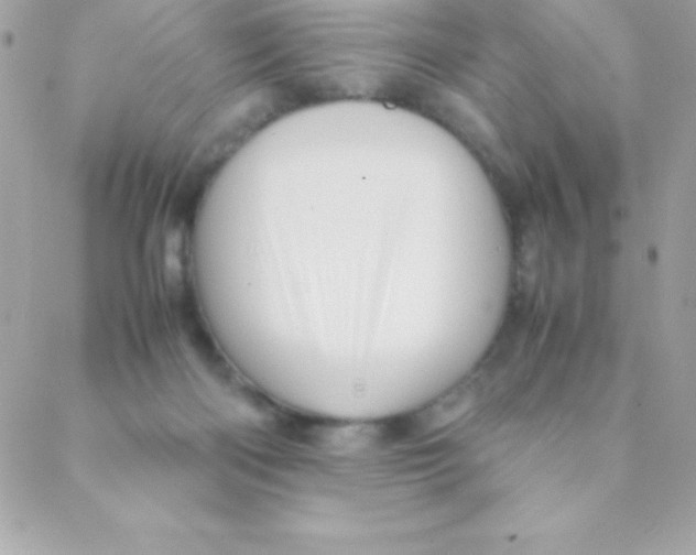 X0000088620122200706151902