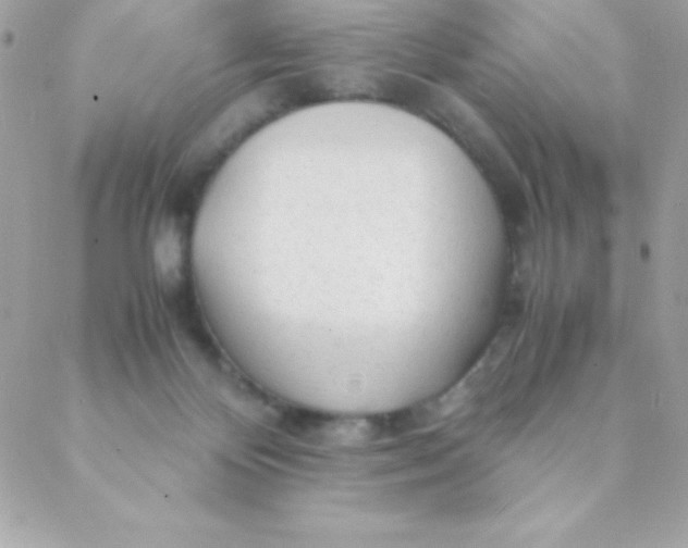 X0000088620124200706151902