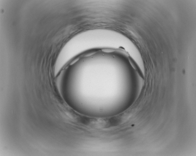 X0000088620125200706151902