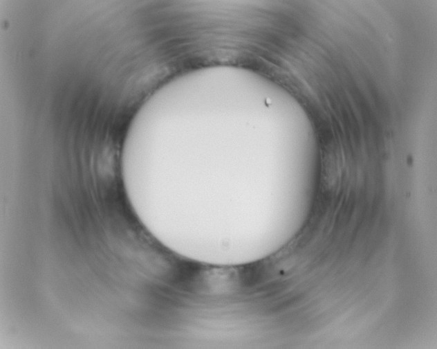 X0000088620126200706151902