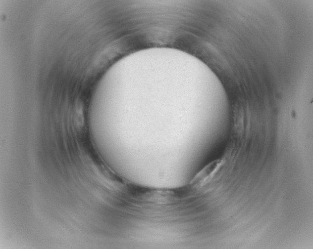 X0000088620128200706151902